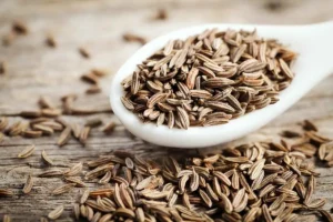 cumin seeds benefits